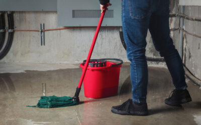 What Are the Long-Term Effects of Ignoring Basement Water Issues?