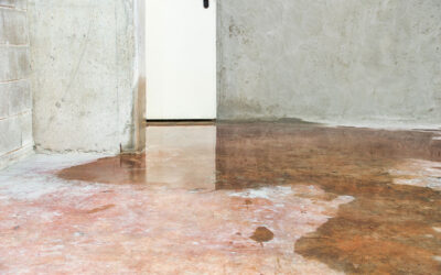 What Common Problems Does Interior Waterproofing Solve?
