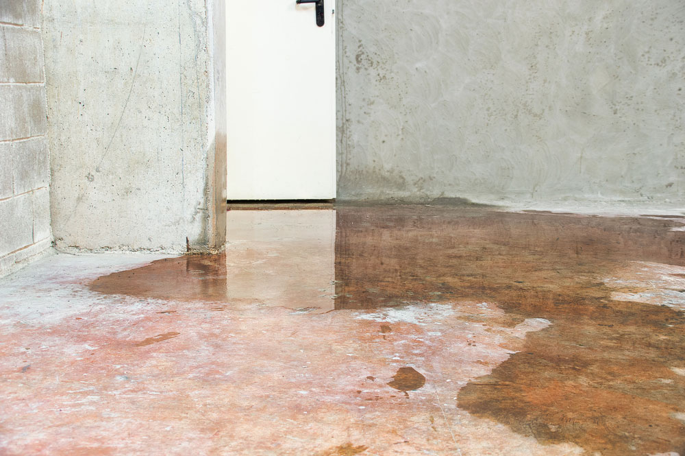 What Common Problems Does Interior Waterproofing Solve?